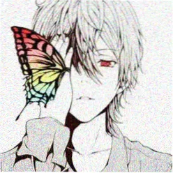 雏菊花田